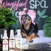 petspacloset
